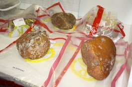 Янтарный комбинат продаст на аукционе 25 крупных самородков. Ювелирные Известия - J-izvestia.ru