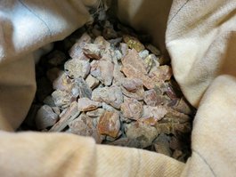 Польские эксперты: Янтарь воспринимается как драгоценный камень. Ювелирные Известия - J-izvestia.ru