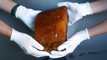 Под Калининградом нашли уникальный двухкилограммовый янтарный самородок. Ювелирные Известия - J-izvestia.ru