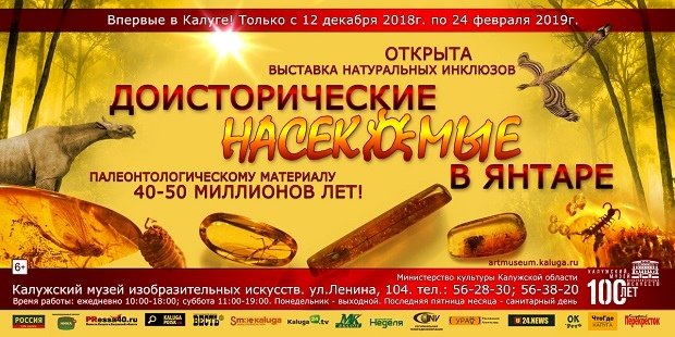 В Калуге открылась выставка доисторических насекомых в янтаре. Ювелирные Известия - J-izvestia.ru