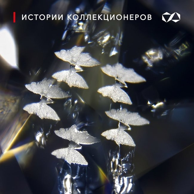 Алроса: «Калейдоскоп бабочек» и бриллианты